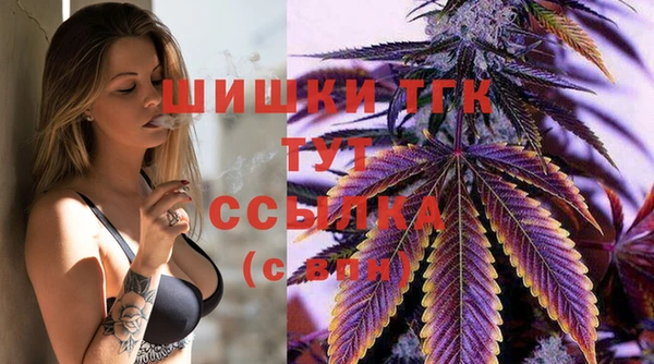 тгк Елизово