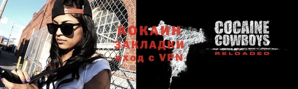 тгк Елизово