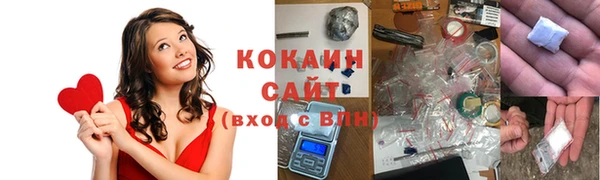 крисы Елабуга
