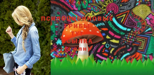 Альфа ПВП Ельня