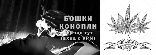 крисы Елабуга