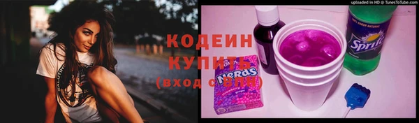 крисы Елабуга