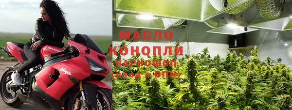 крисы Елабуга