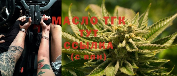 Альфа ПВП Ельня