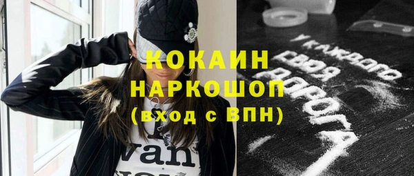 крисы Елабуга