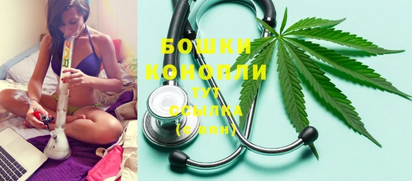 крисы Елабуга