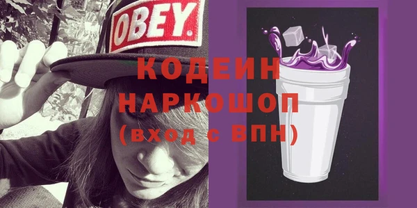 крисы Елабуга