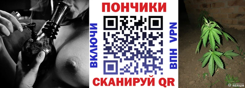 Бошки марихуана MAZAR  Купить где  Ивдель 